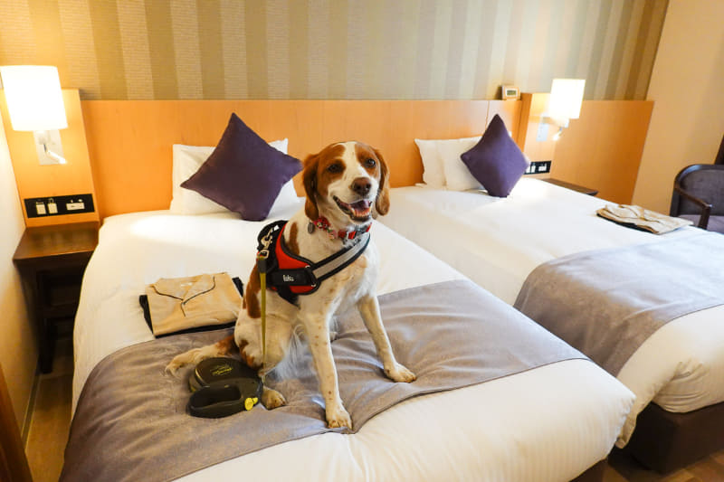 ベッドが2台設置されたTWINルーム