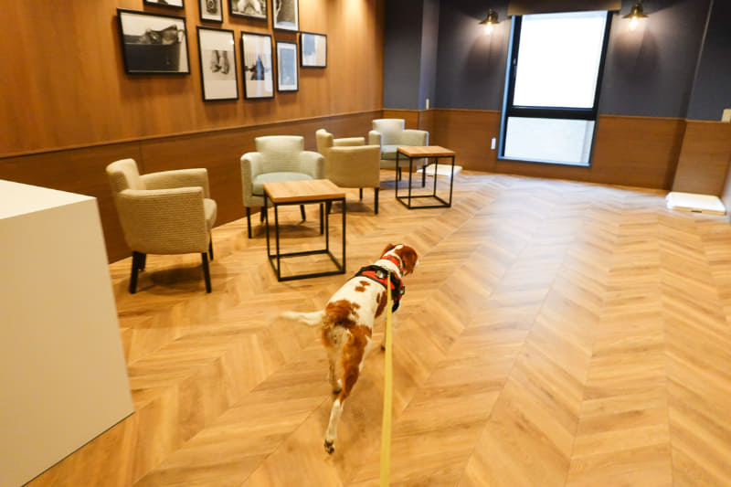 別料金で貸切の「ドッグラウンジ」