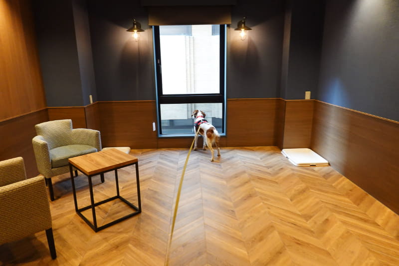 別料金で貸切の「ドッグラウンジ」