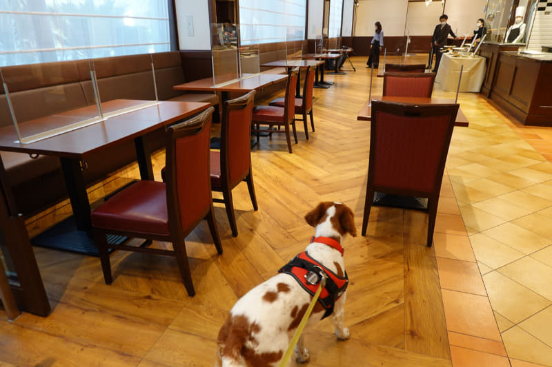 犬も一緒に入れるイタリアンレストラン