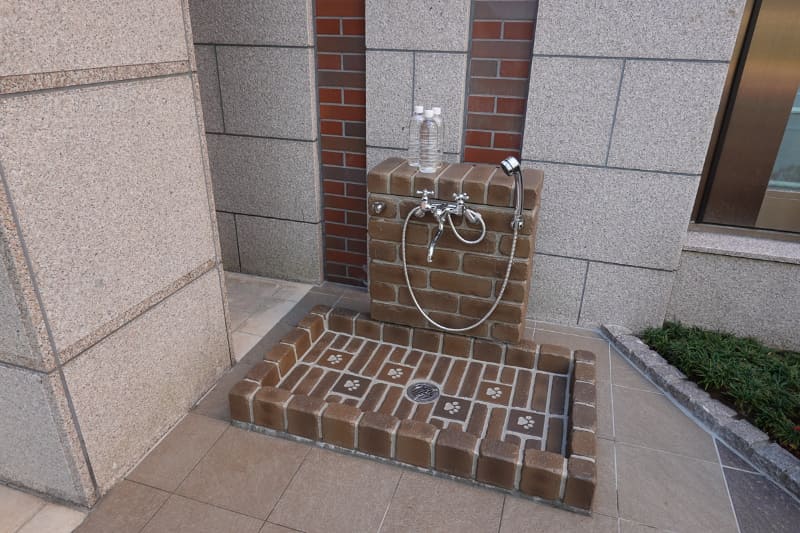 エントランスには足洗い場も完備