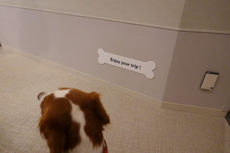 通路には「犬目線」のメッセージも