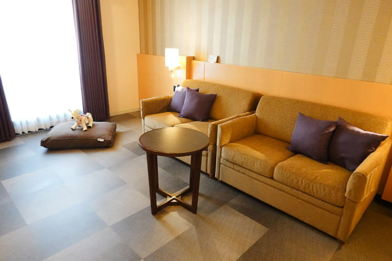 床を広く使えるinumo ROOMルーム。ソファーの上に犬が乗ってももちろんOKです