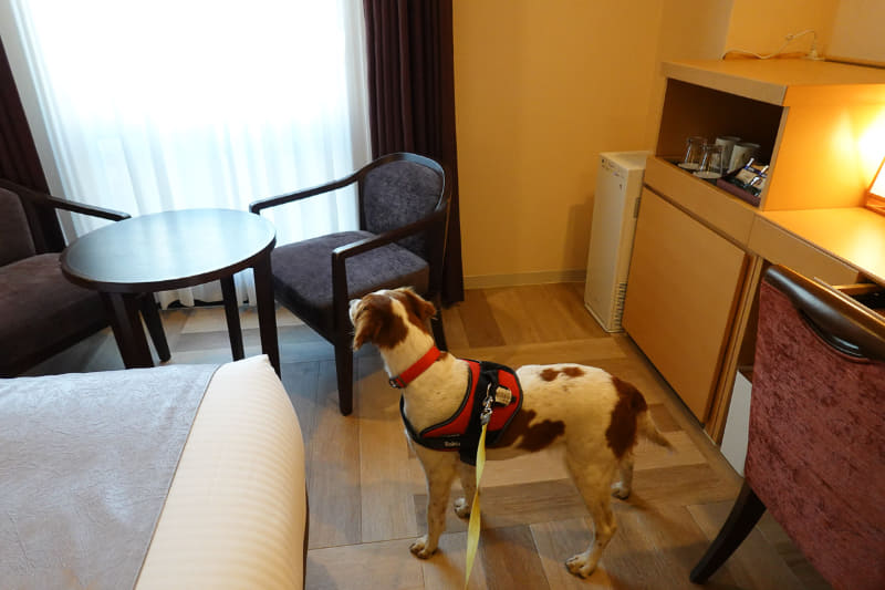 ベッドが2台設置されたTWINルーム