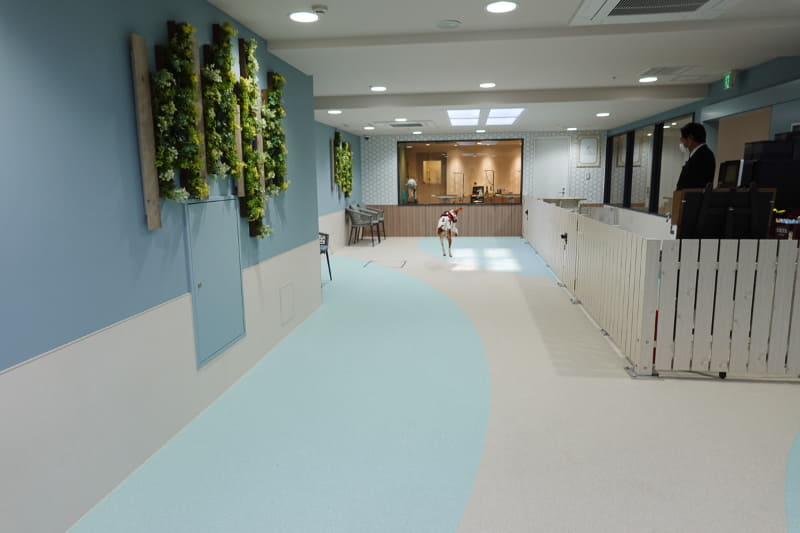 雨の日でも安心な屋内ドッグラン