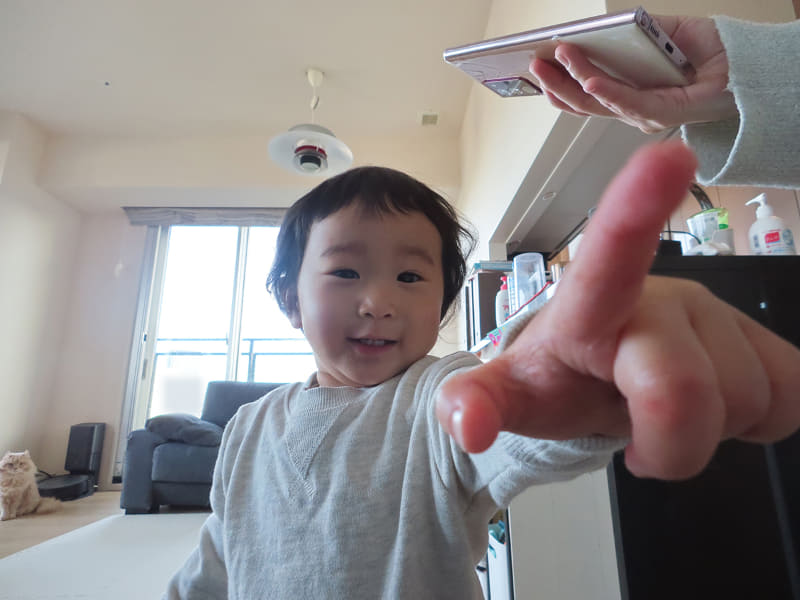 PowerShot PICKの自動撮影で撮れた写真。猫も写っています