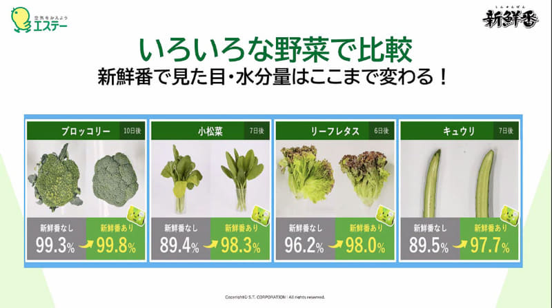 他の野菜の例。野菜に含まれる僅かな水分量の差が鮮度の維持に大きく影響する