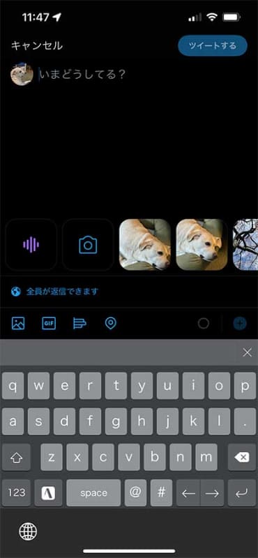 ツイート新規投稿画面内のカメラアイコンをタップすれば、GIF画像を撮影できる