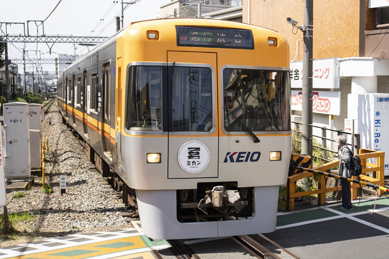 ミカンラッピング車両