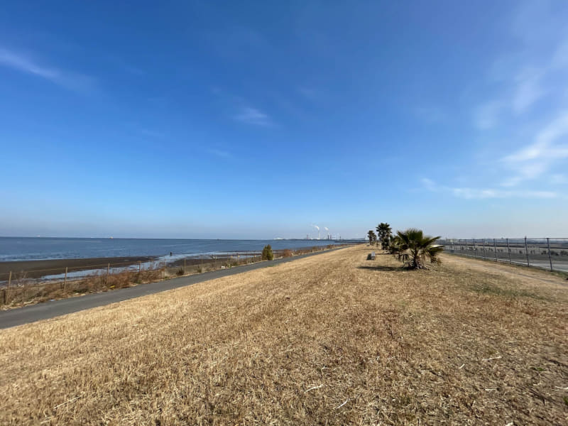 筆者が最初に購入検討した土地、木更津市の金田地区。この辺り、2021年前半はまだ坪単価20万円未満から売られていたが……