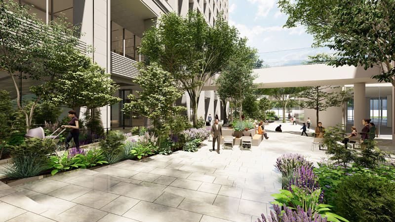 A棟-B棟間の植栽空間