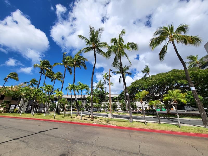 入国のプロセスはコロナ禍前とほぼ同じ。入国審査の列が心なしか短かったこともあり、すぐにハワイに入れた。写真は空港の建物から出た直後の風景