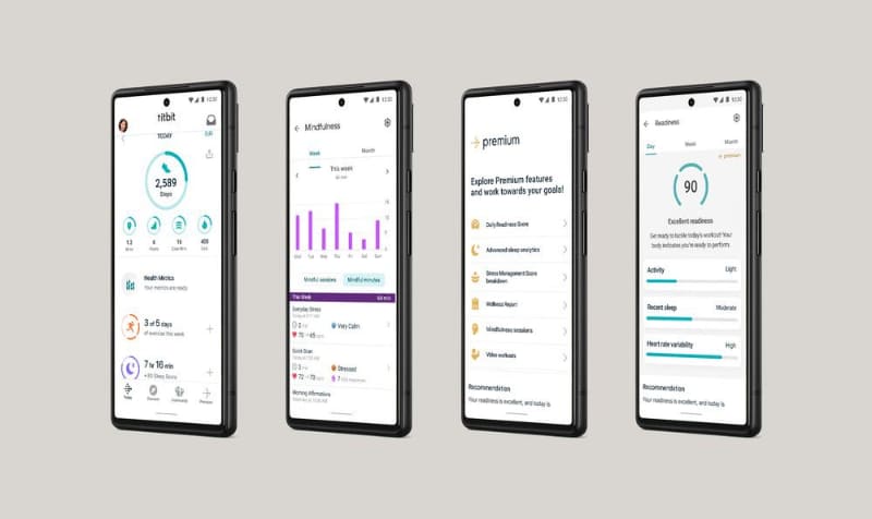Fitbit Premiumで今日のエナジースコアなどを確認