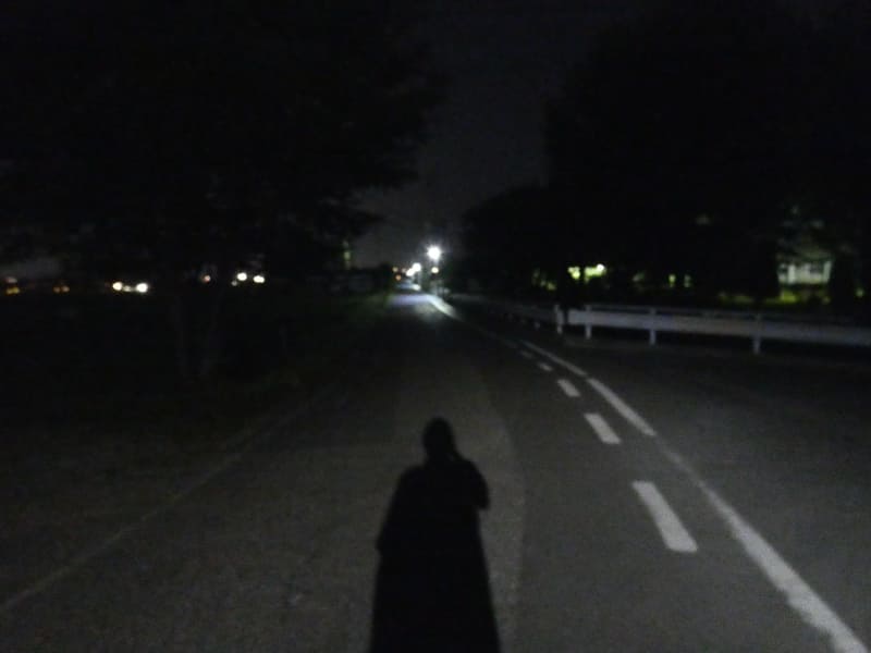 畑までの道の途中(ML300L照射なし)