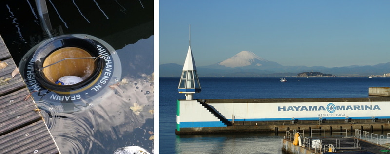 海洋浮遊ゴミ回収機「SEABIN」(シービン)と葉山マリーナ