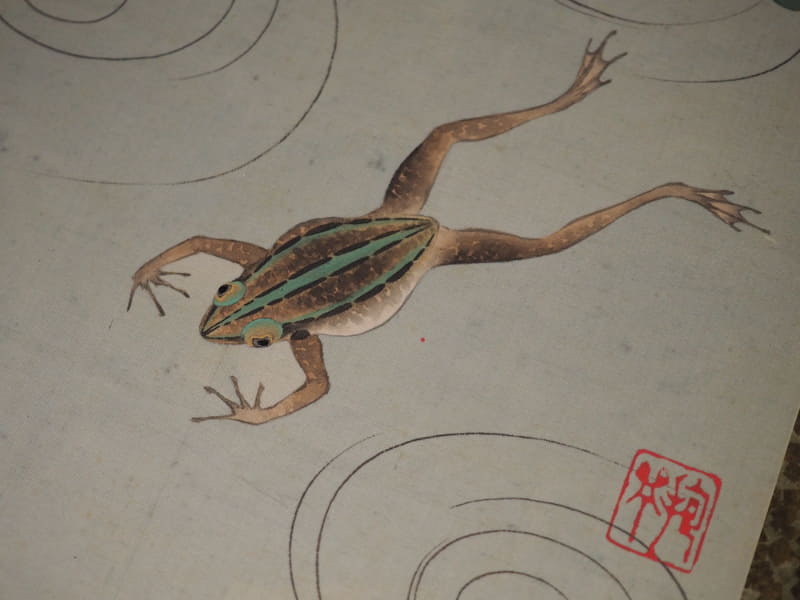 カエルを写実的に描く