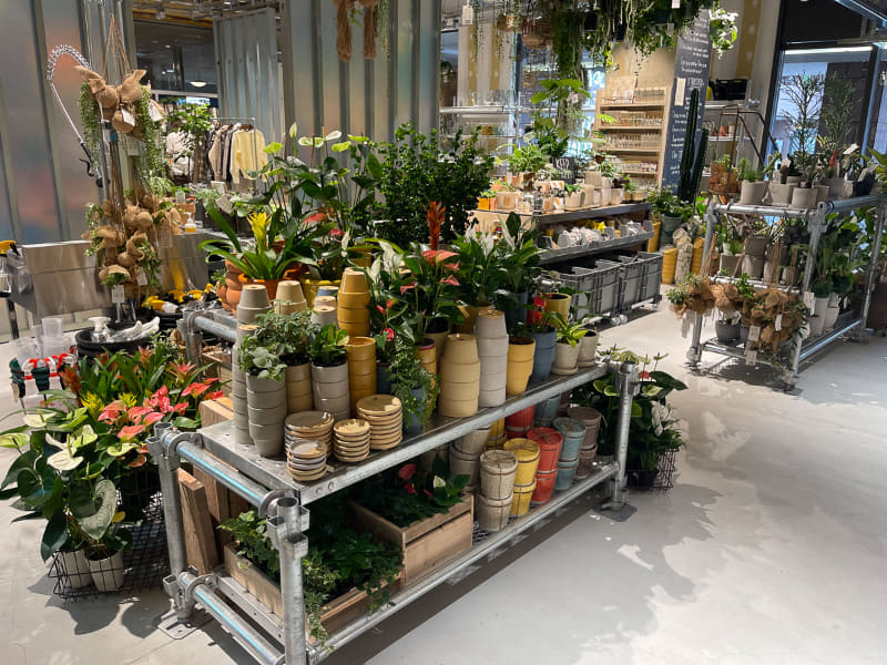 同店として初めて生花も取り扱う