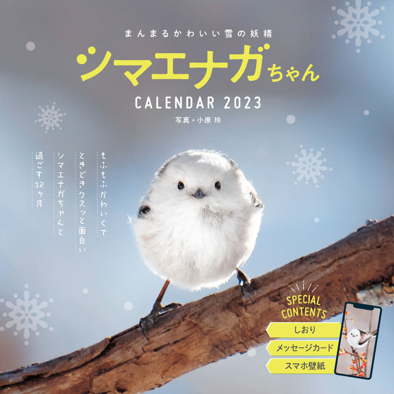 1番売れているという『まんまるかわいい雪の妖精 シマエナガちゃん』(1,100円)