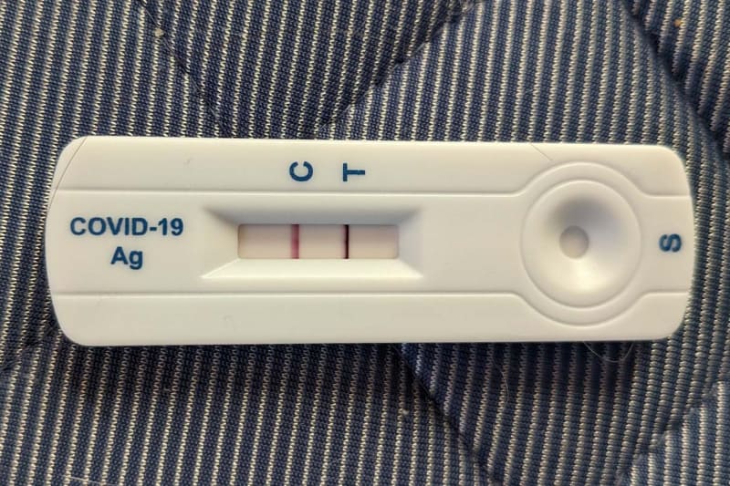 検査キットで陽性が確認された