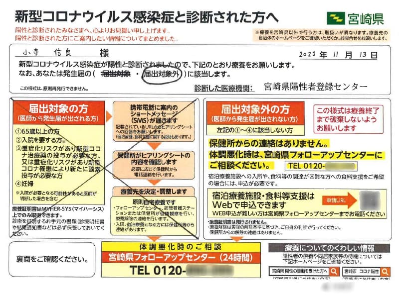 陽性確認書類。食糧支援などの申し込みにはこのPDFが必要になる