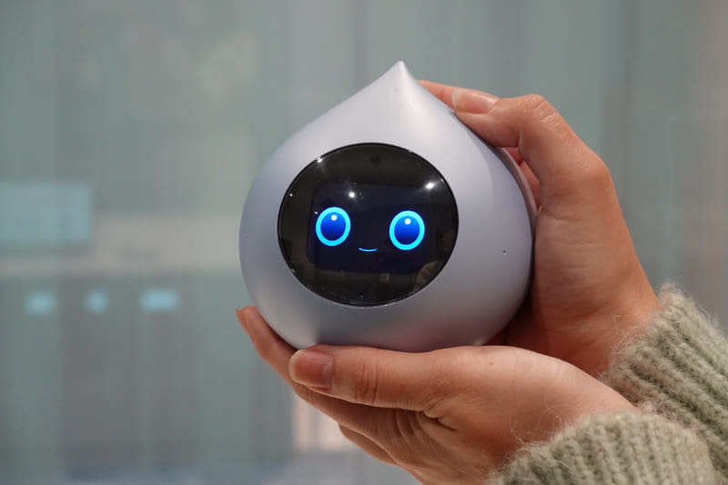 大きさは手のひらサイズ