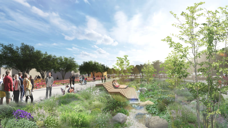 レインガーデン