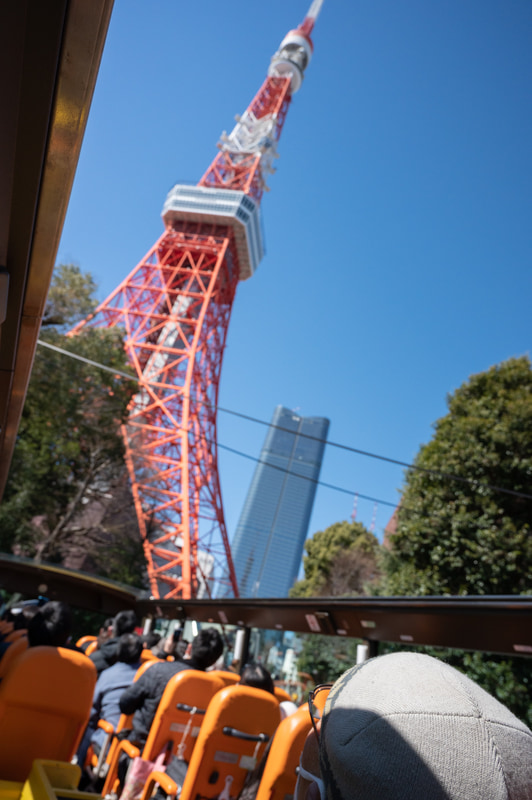 屋根がないオープンバスなので東京タワーも迫力満点です