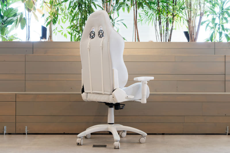 背面側も同様のカラーリング