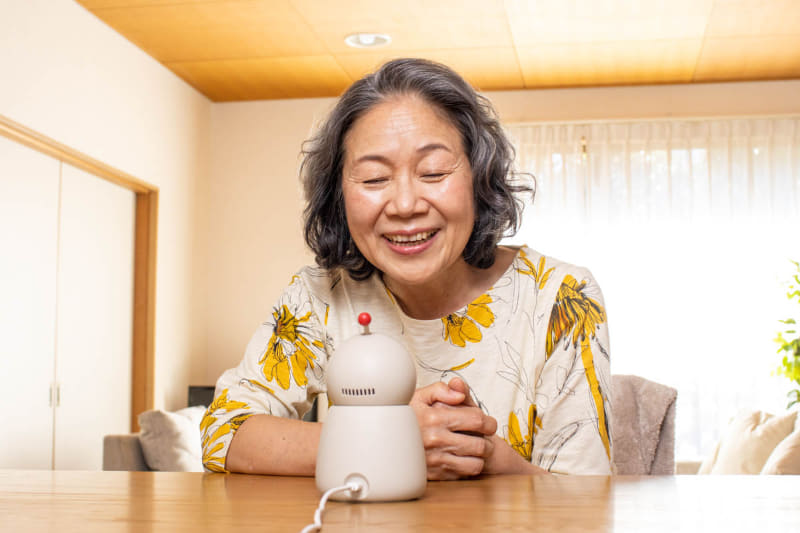 一人暮らしの後期高齢者を想定したサービス