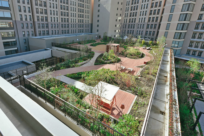 屋上庭園