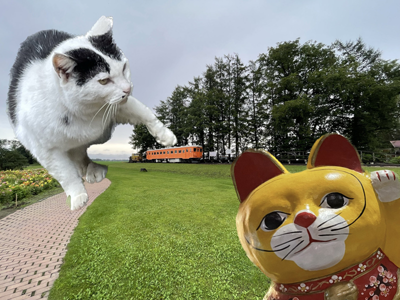 複数の切り抜き画像を合成した例