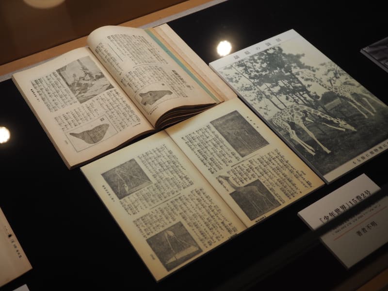 「少年世界」15巻2号