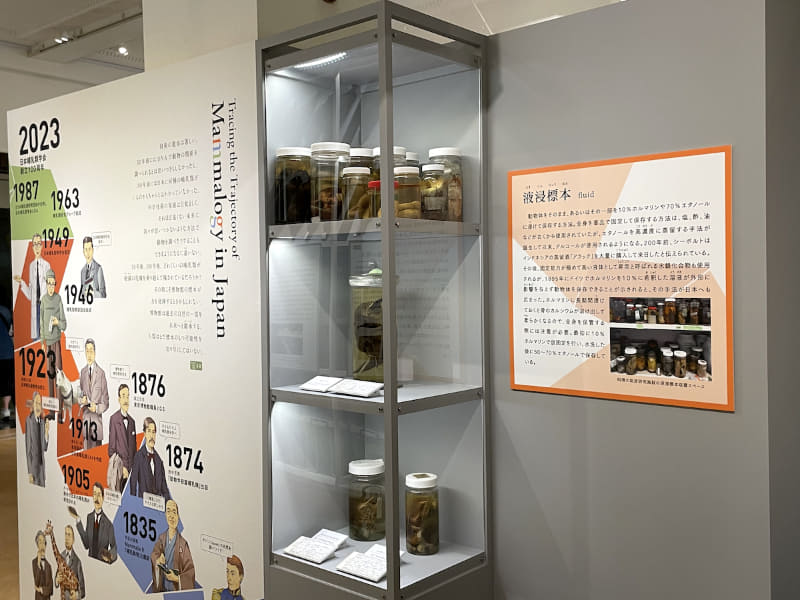 液浸標本の展示