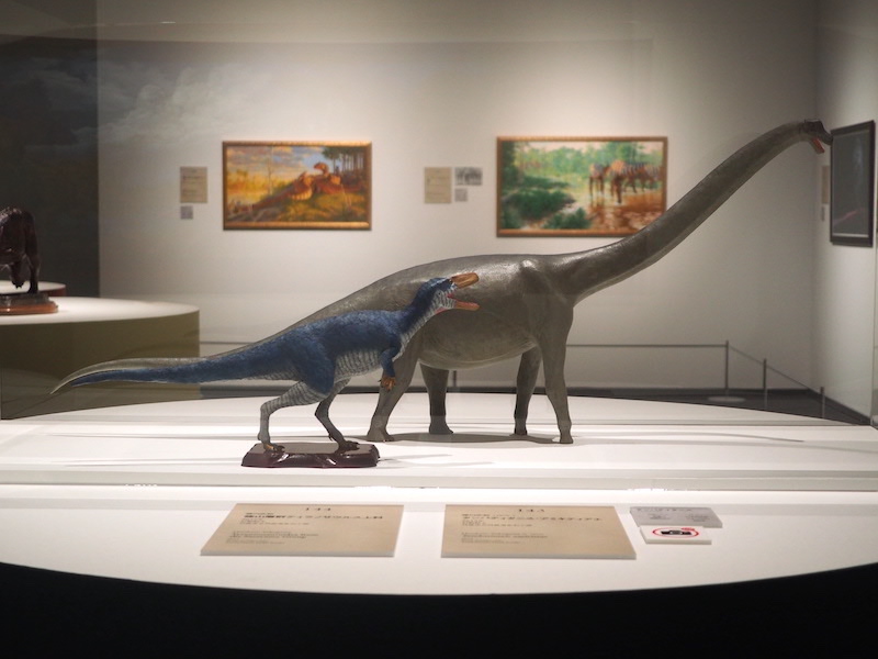 徳川広和の《篠山層群ティラノサウルス上科》と《タンパティタニス・アミキティアエ》