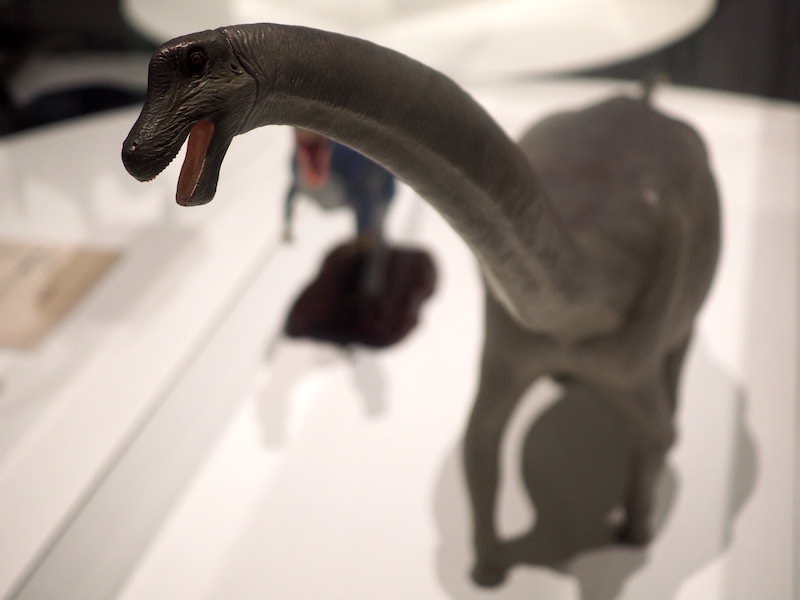 徳川広和《タンパティタニス・アミキティアエ》2013年/丹波市立丹波竜化石工房