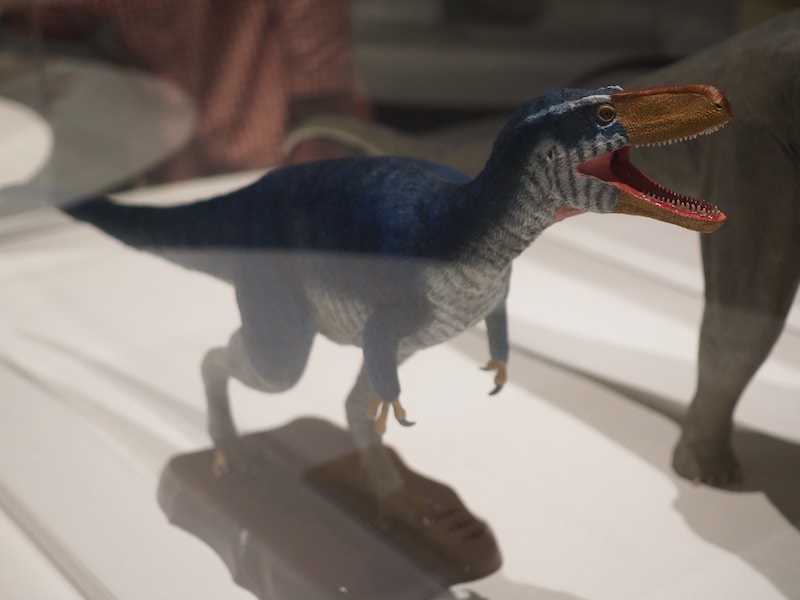 徳川広和《篠山層群ティラノサウルス上科》2015年/丹波市立丹波竜化石工房