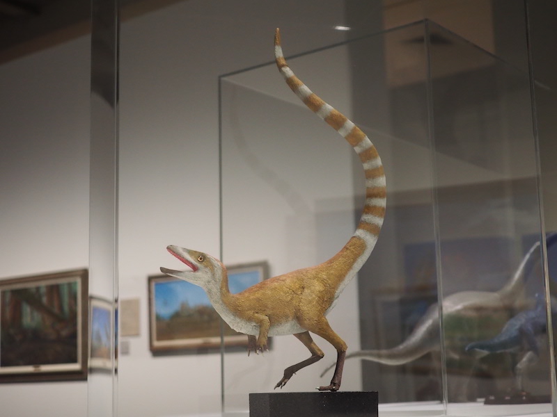 徳川広和《シノサウロプテリクス》2022年/徳島県立博物館