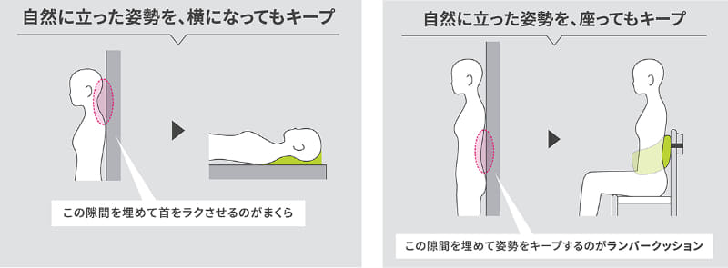 睡眠時のまくら(左)と腰のまくら(右)