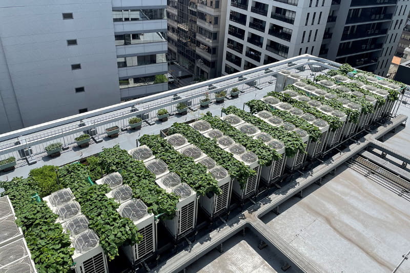 ウノサワ東急ビル屋上