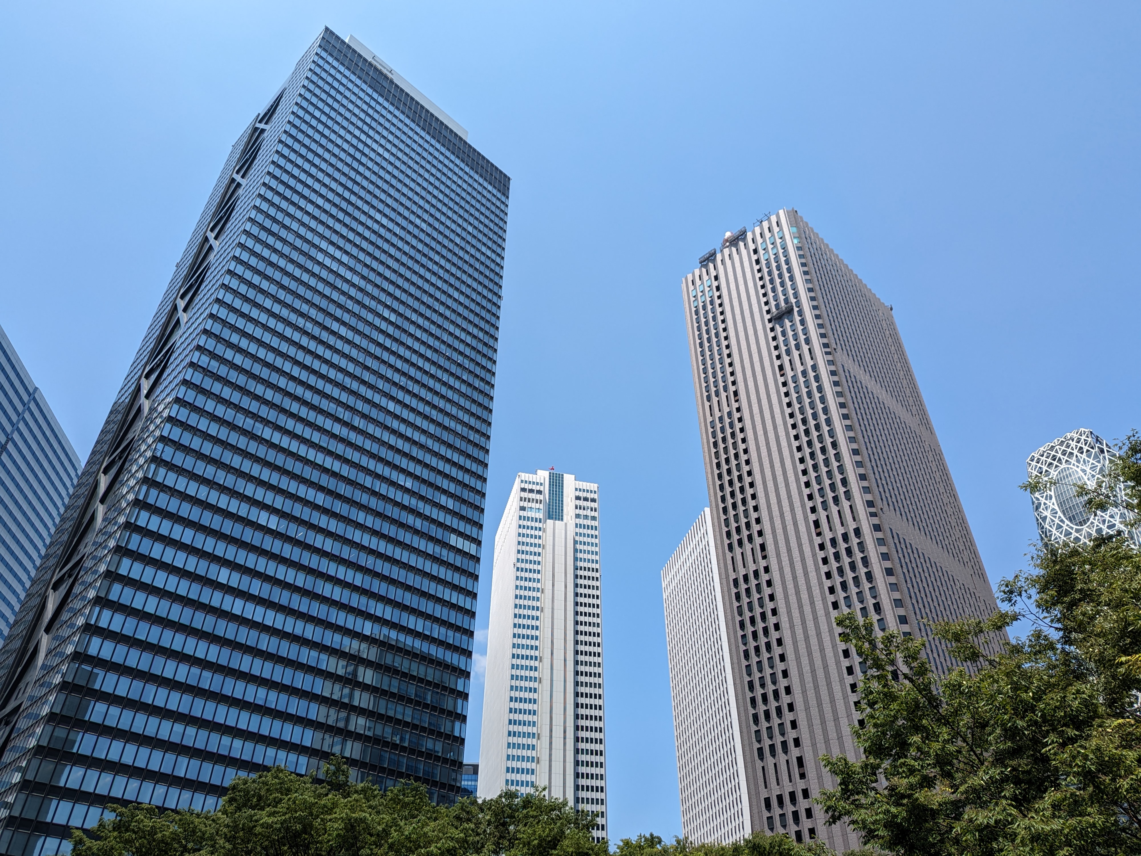 カメラの撮影例