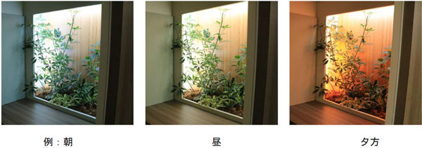 「バイオフィリックウィンドウ」の植栽と調光調色LED照明 色の変化のようす