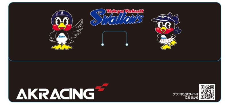 AKRacing特製チケットホルダー