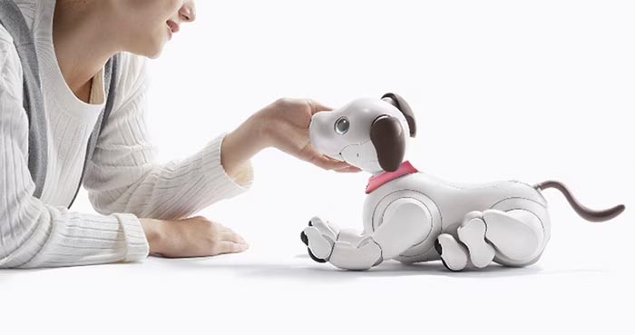 aiboの里親プログラム専用首輪を装着