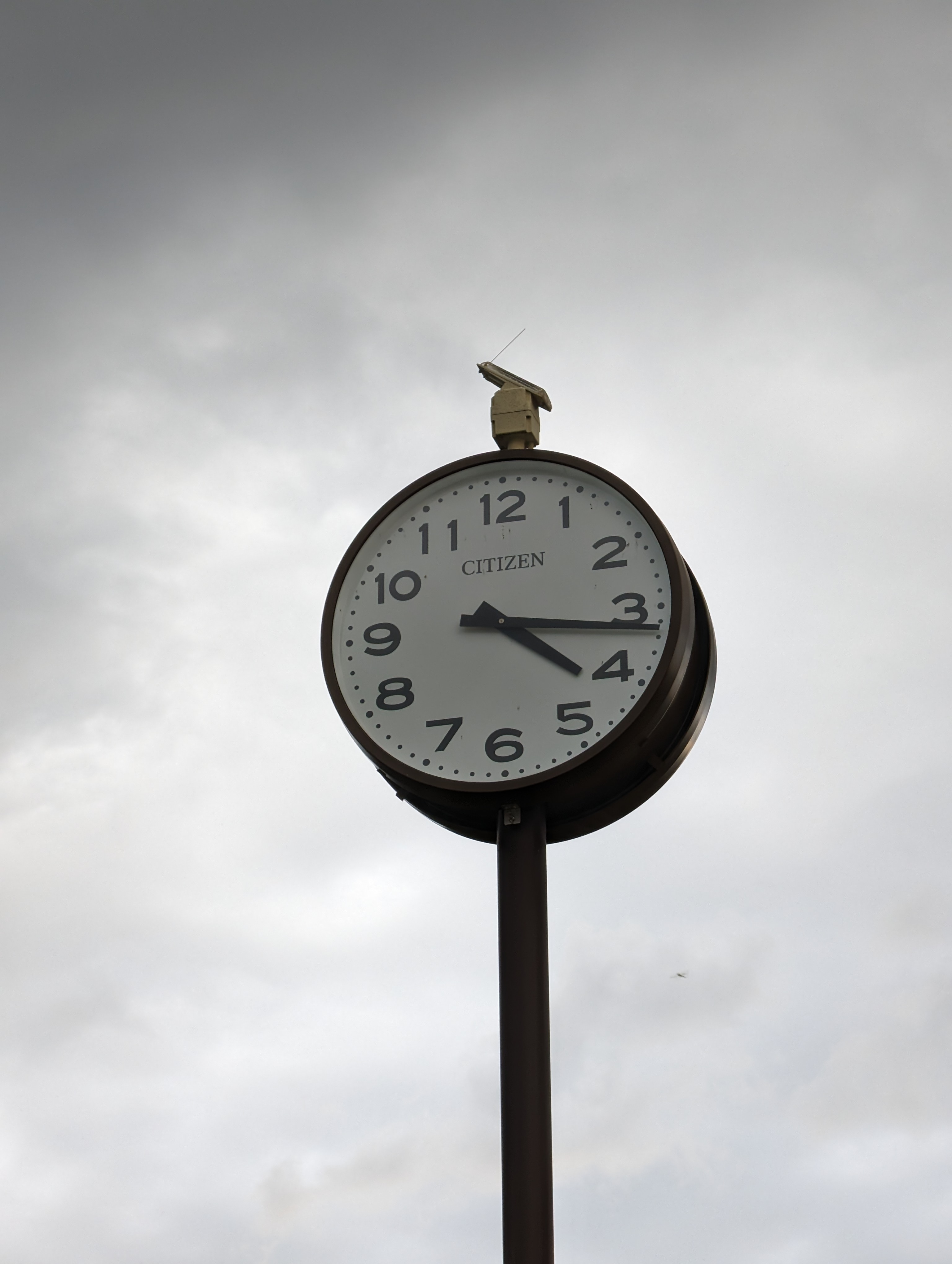 そして5倍。こうした、なんてことない写真でも、やはり望遠の恩恵は大きいのではないでしょうか?!