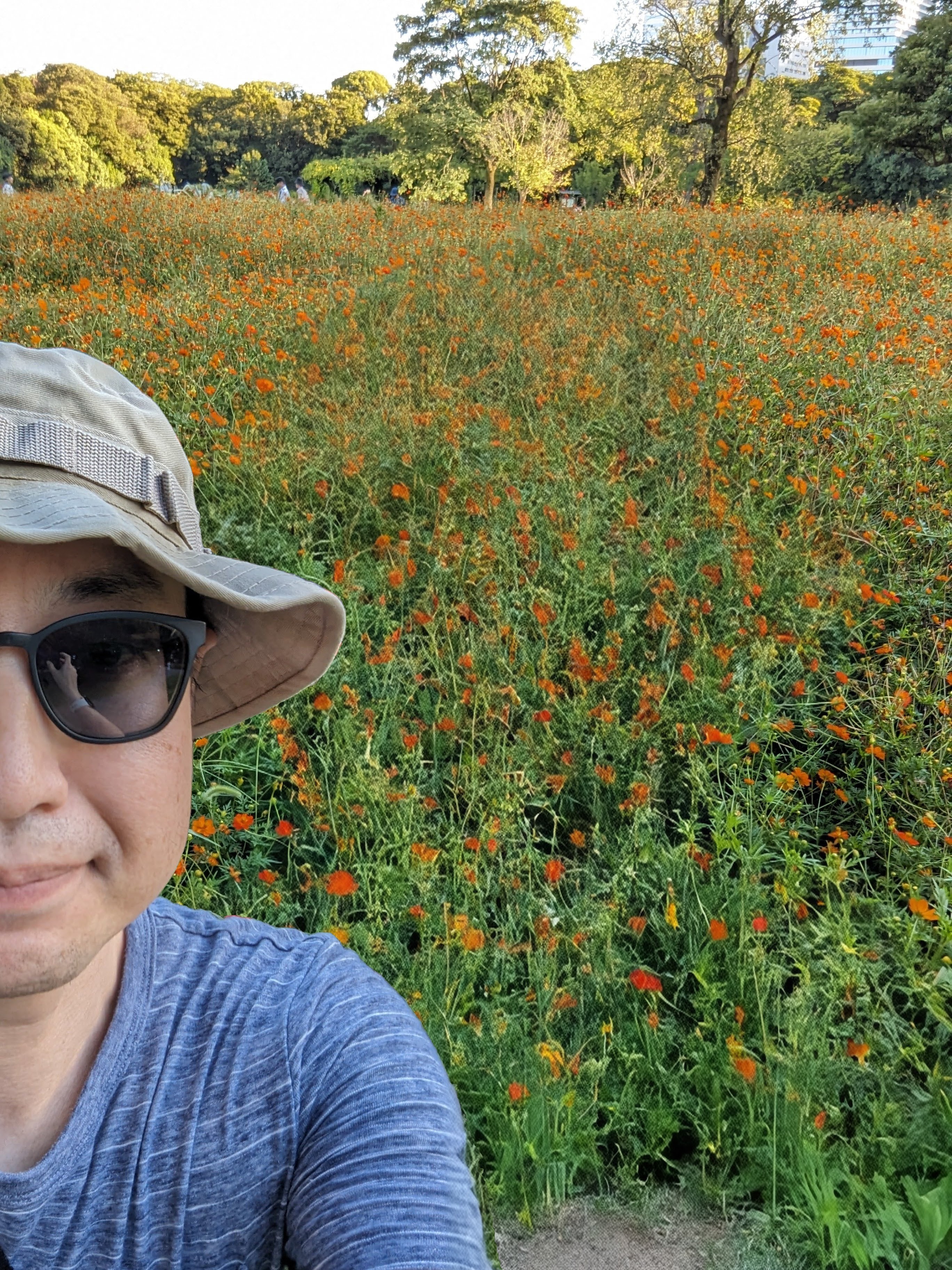 できあがった画像はこちら。この程度の編集なら、操作に迷わなければ1分以内で完了するはずです