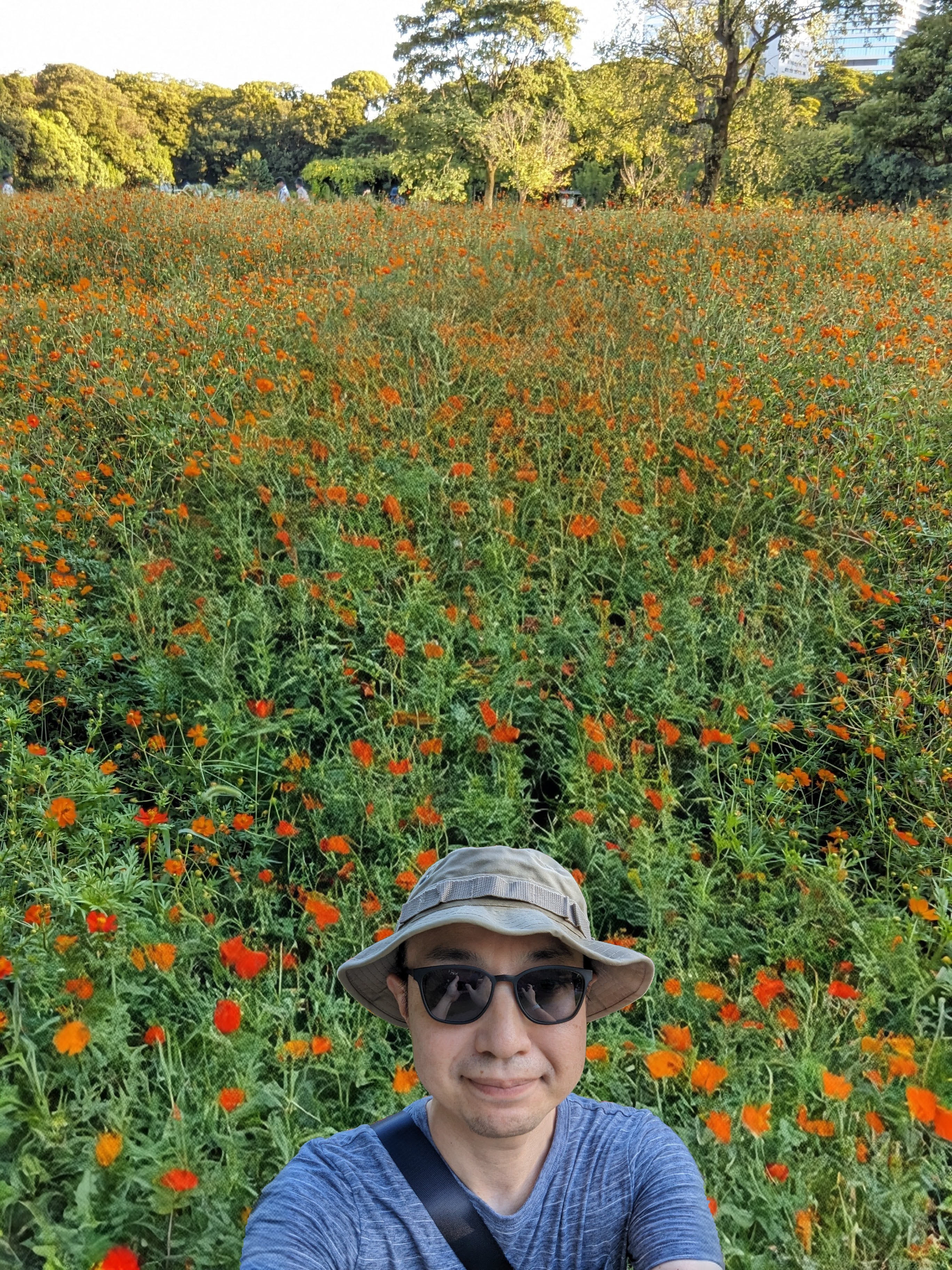 できあがった画像。元画像を知っているとかなりバカっぽい編集ですが、合成画像だと初見で気付く方は少ないのでは?