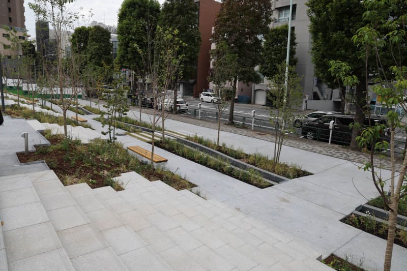 街路樹として桜も植えている