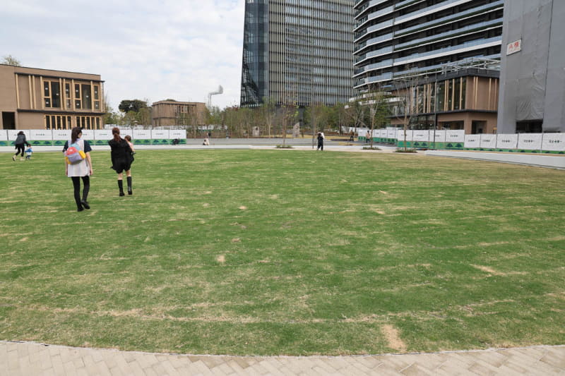 広場を囲うようにベンチデッキを配置