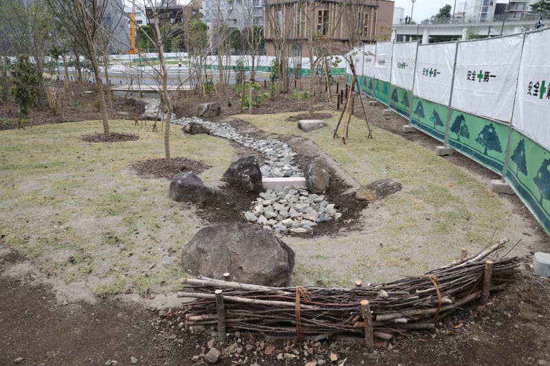 杜の中に芝生の広場も整備している