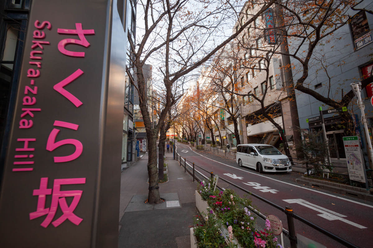 さくら坂は従来通り、下る方向の一方通行で変更は無い